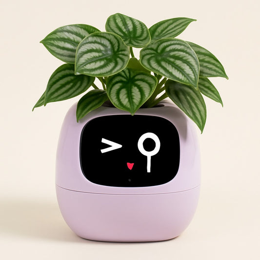 Smart Planter with AI