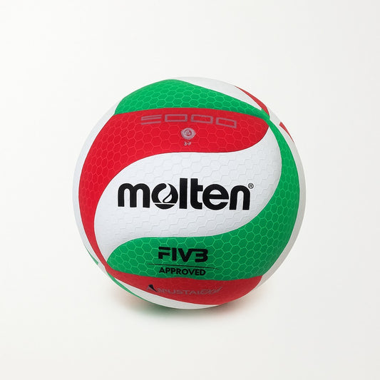 Molten Moten Volleyball