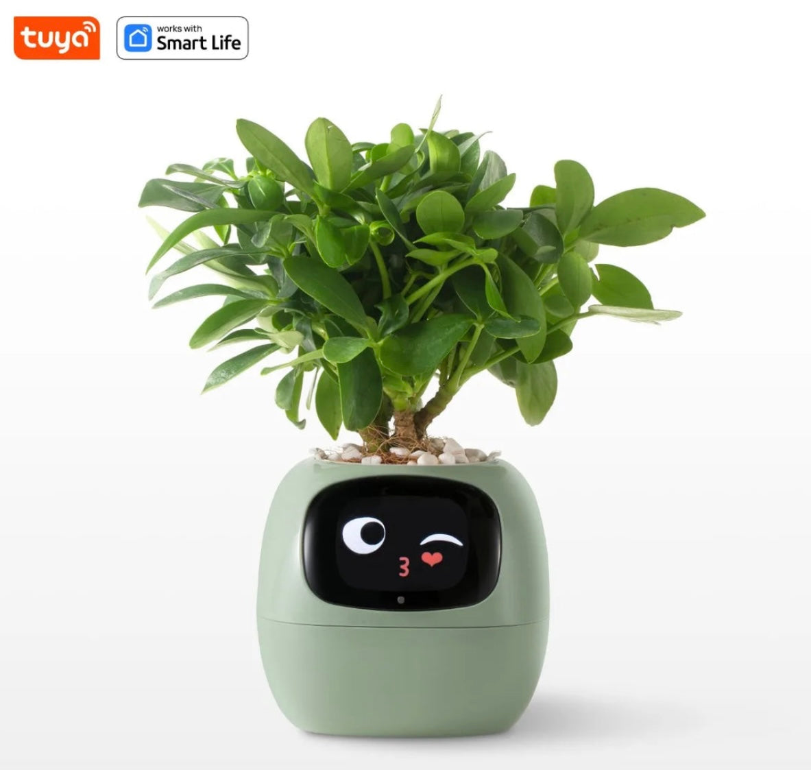 Smart Planter with AI