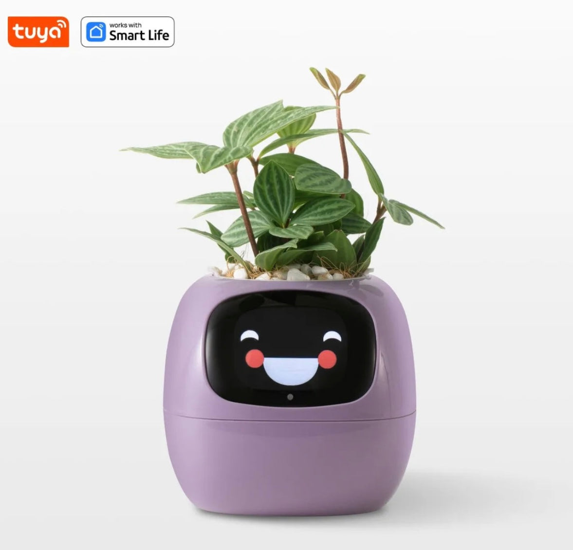Smart Planter with AI