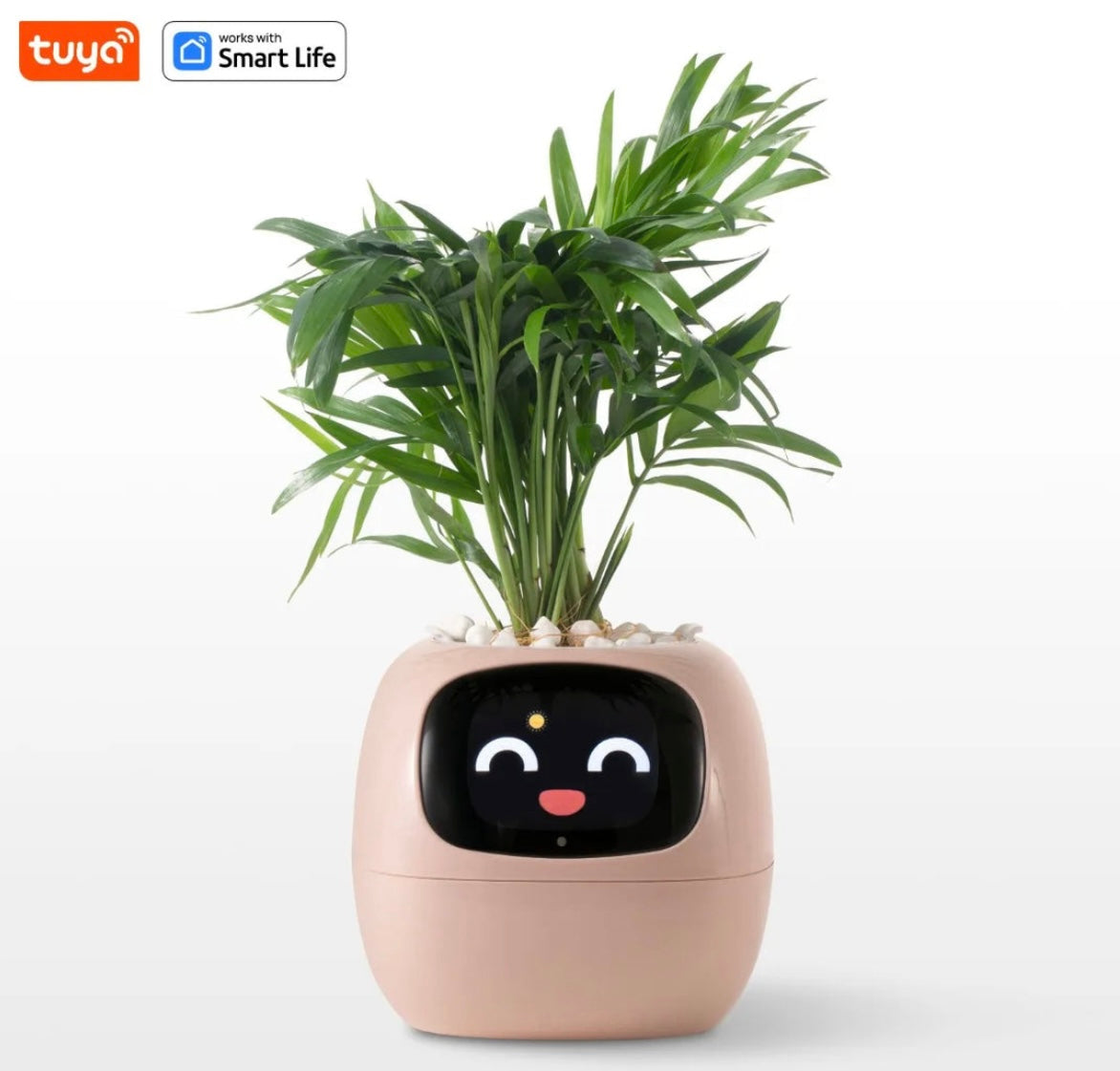 Smart Planter with AI