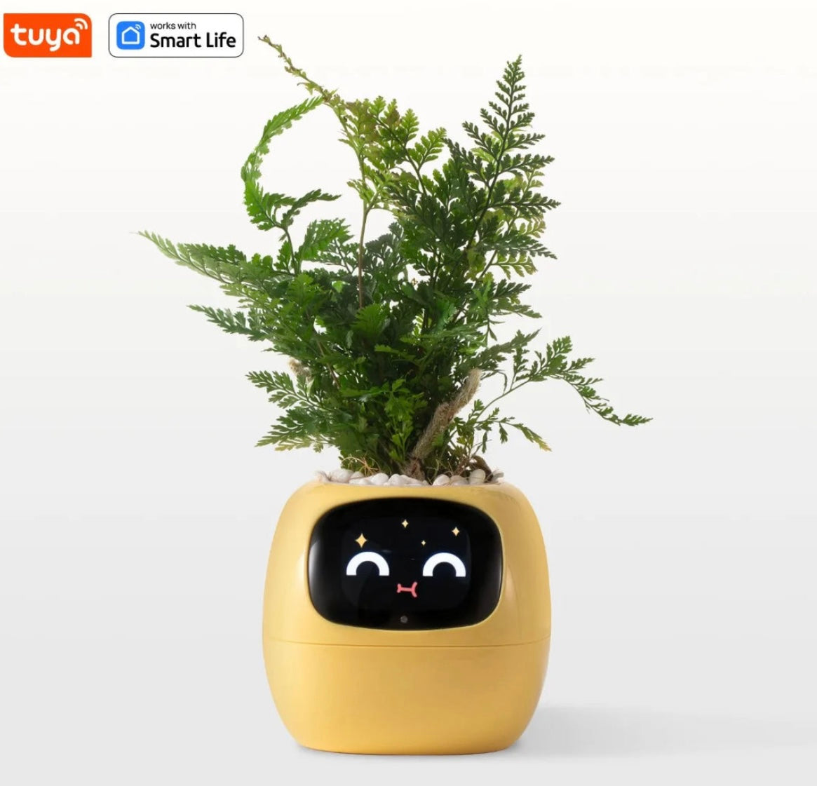 Smart Planter with AI