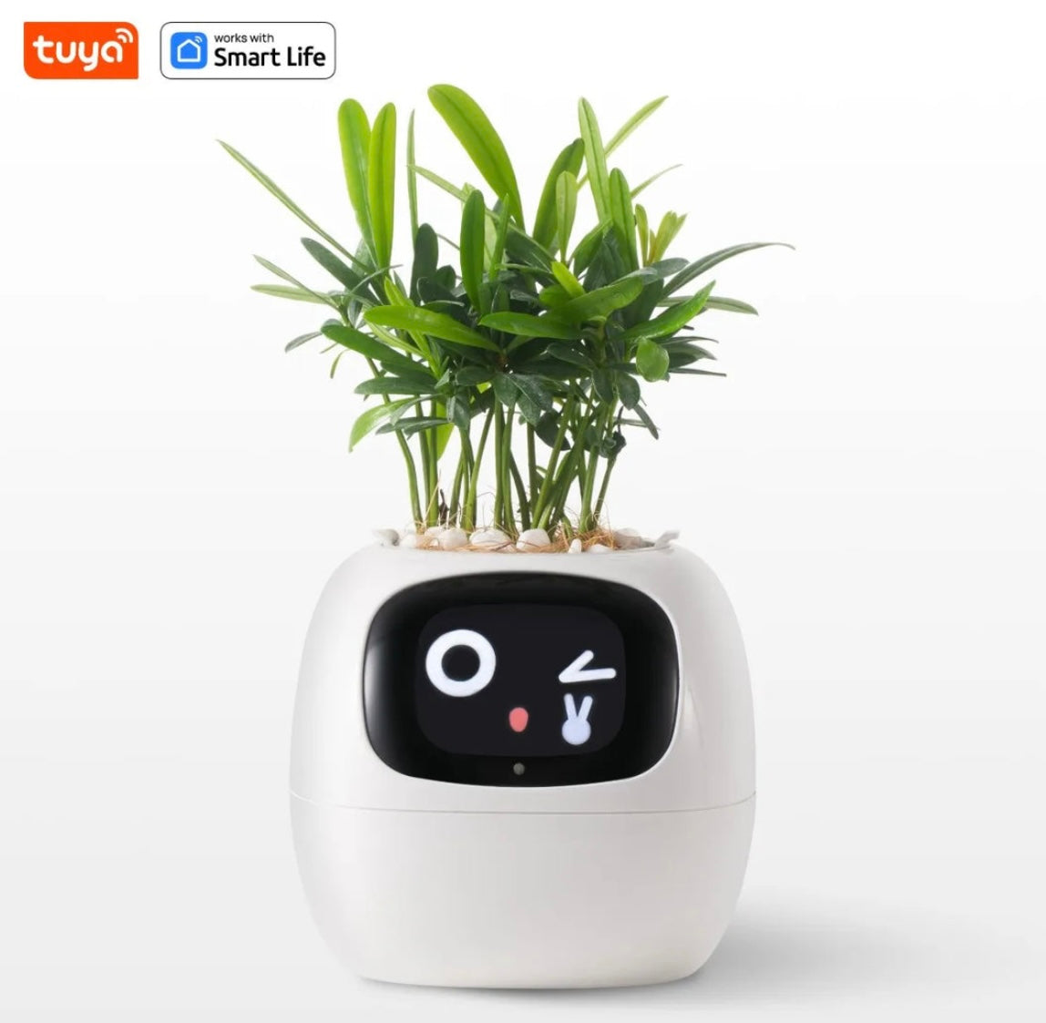 Smart Planter with AI