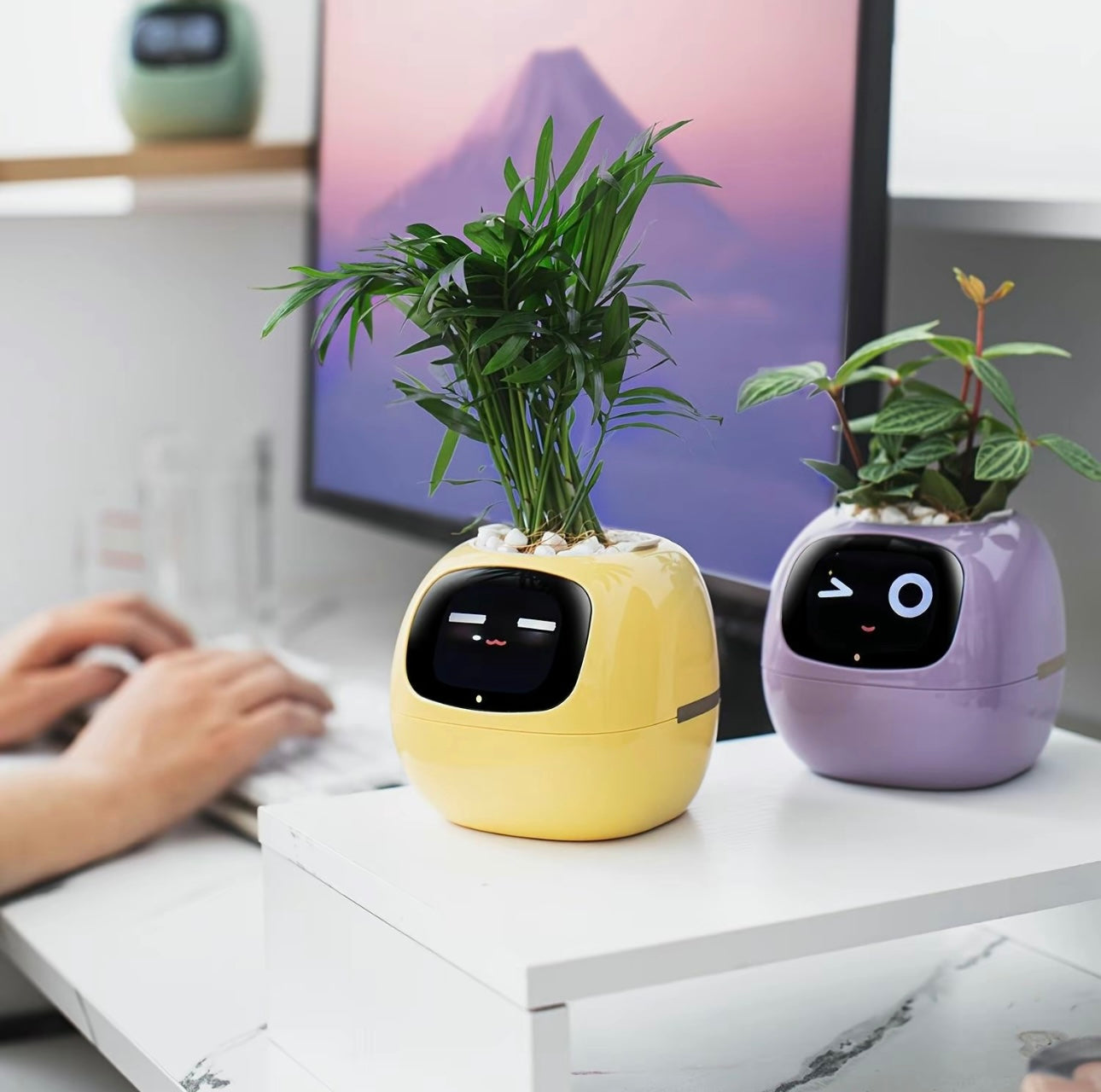 Smart Planter with AI