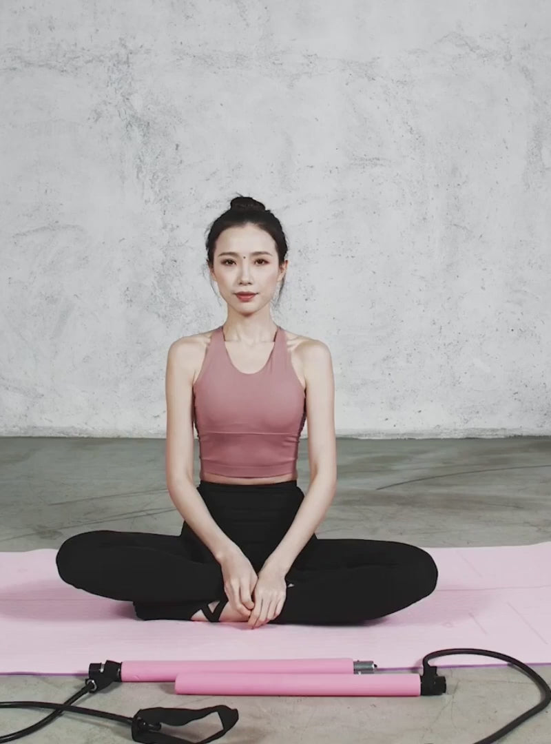 Chest Expander Puller