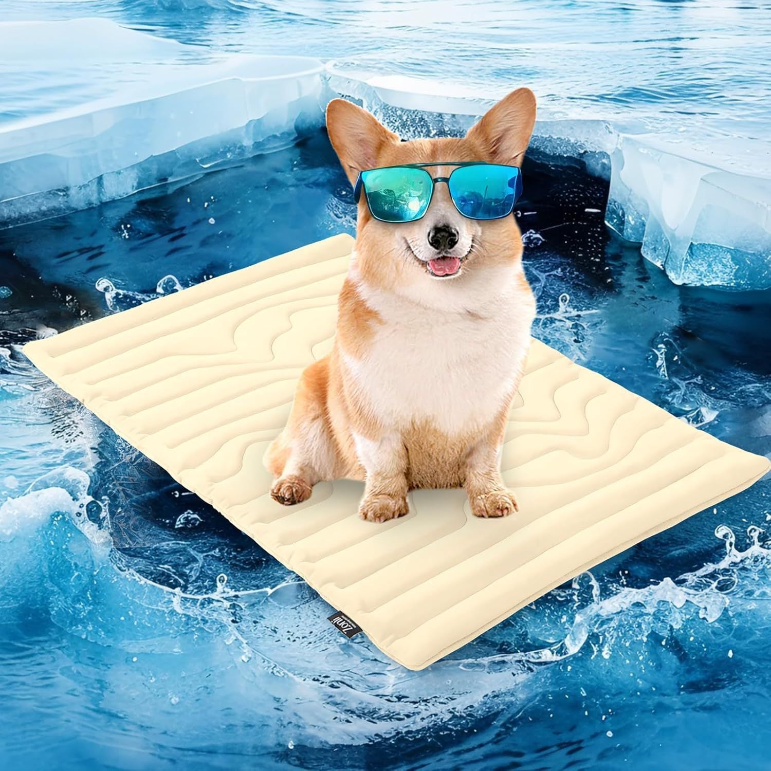 Pet Ice Mat 